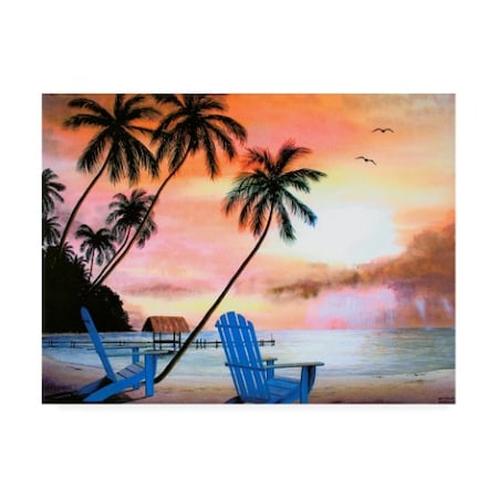 Patrick Sullivan 'Tropical Morning' Canvas Art,14x19
